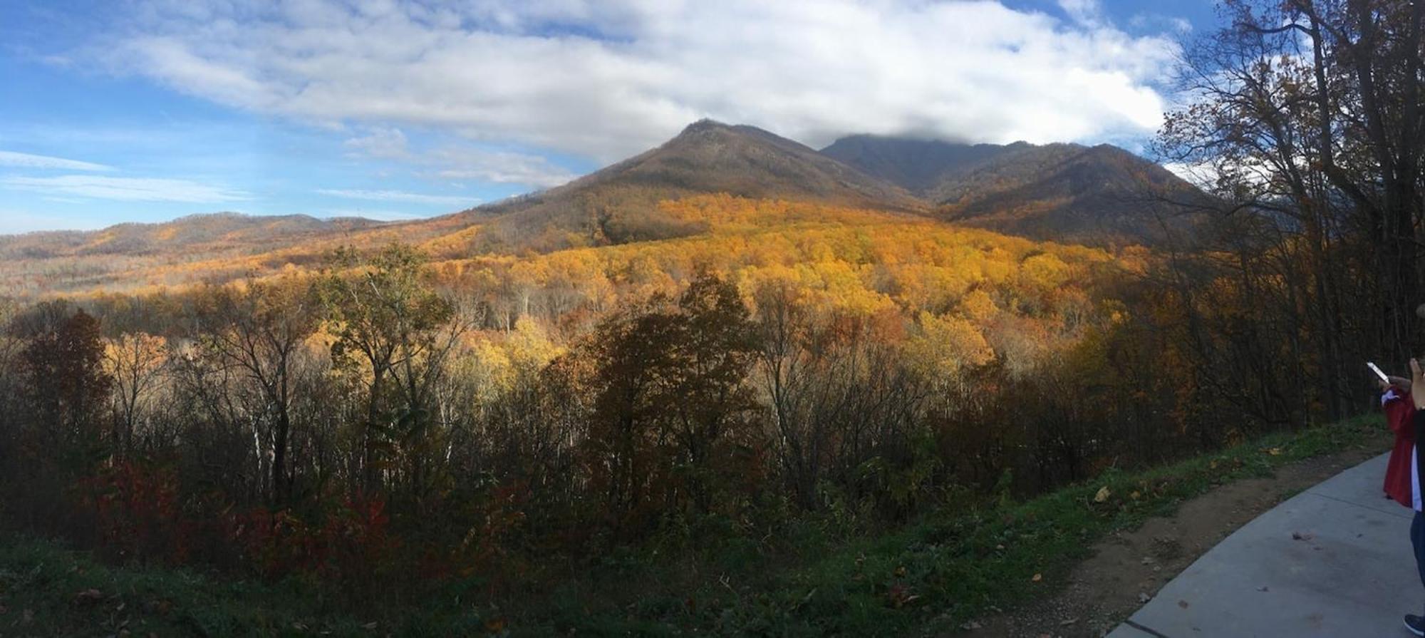 Serene Mountain And Sunset Views 3Bd Cabin Франклин Екстериор снимка